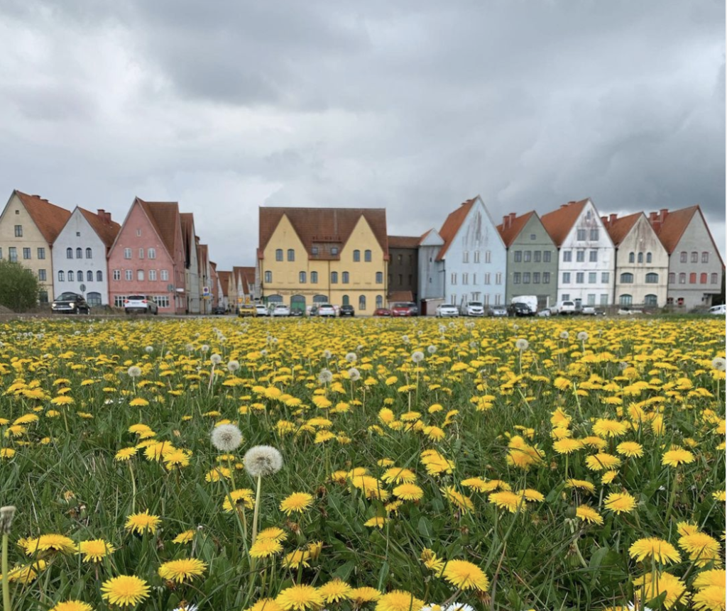 byggfirma staffanstorp skane malmo lund